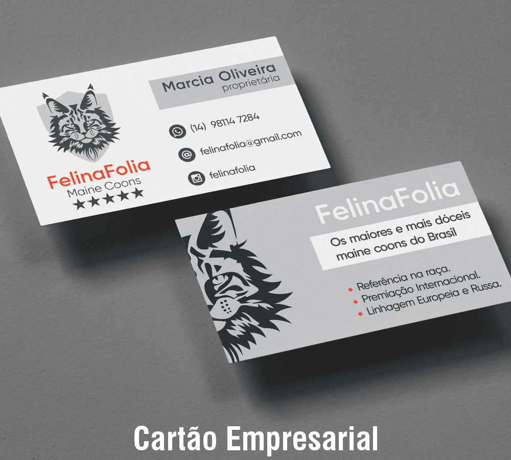 servico-de-branding-sorocaba-2
