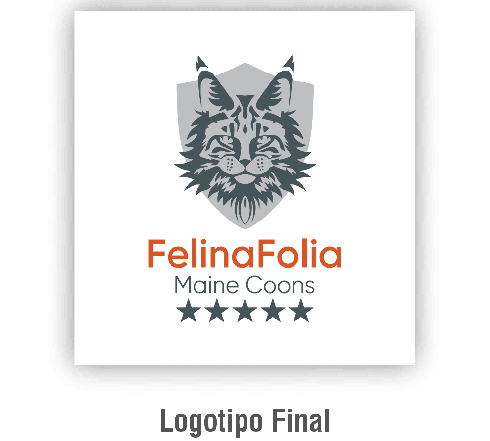 servico-de-branding-sorocaba-3